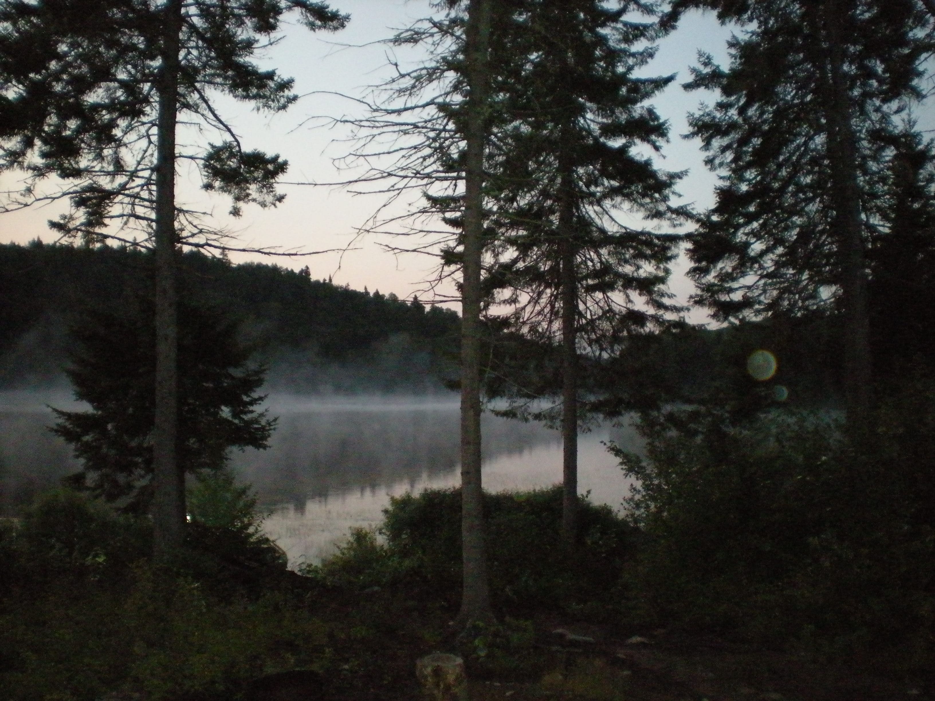 Domaine Batchelder — photo 3